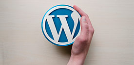 Diseño de paginas web Wordpress en Madrid y Toledo.