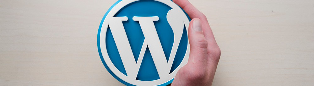 Diseño de paginas web Wordpress en Madrid y Toledo.